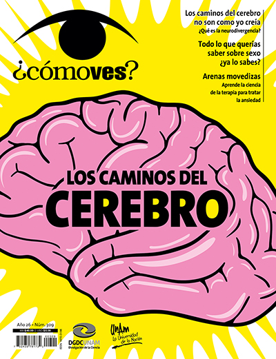 Portada número 309